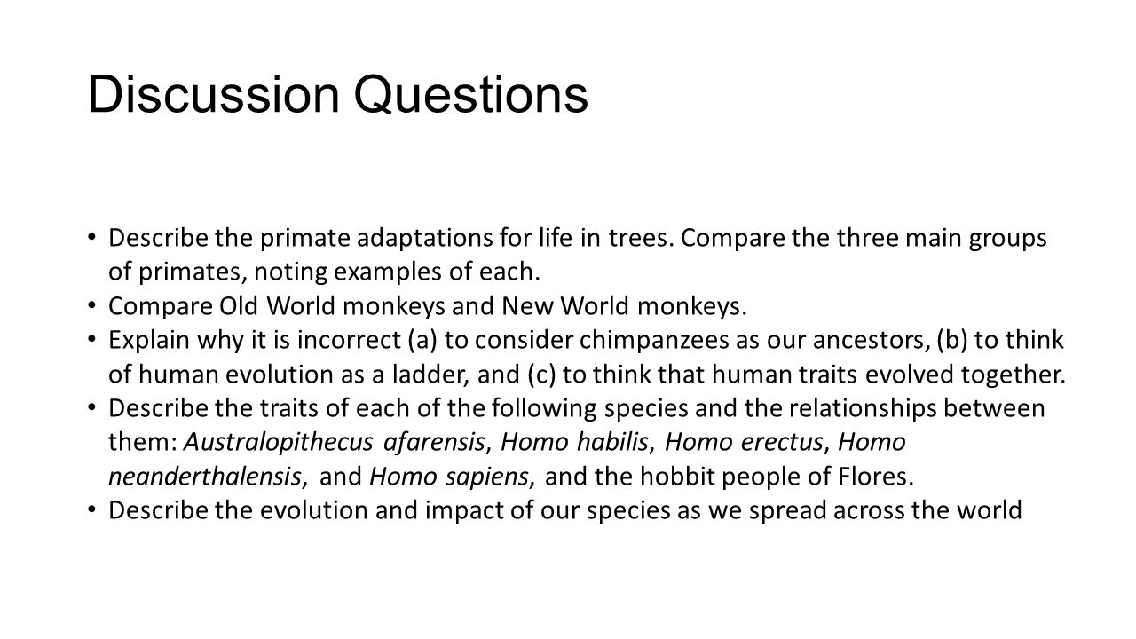 Primates and humans essay writer